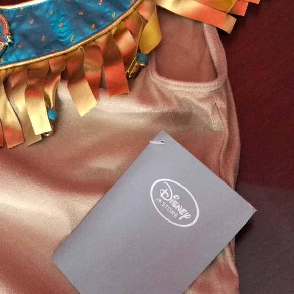 Disney Pokajantas costume. - Picture 2 of 5